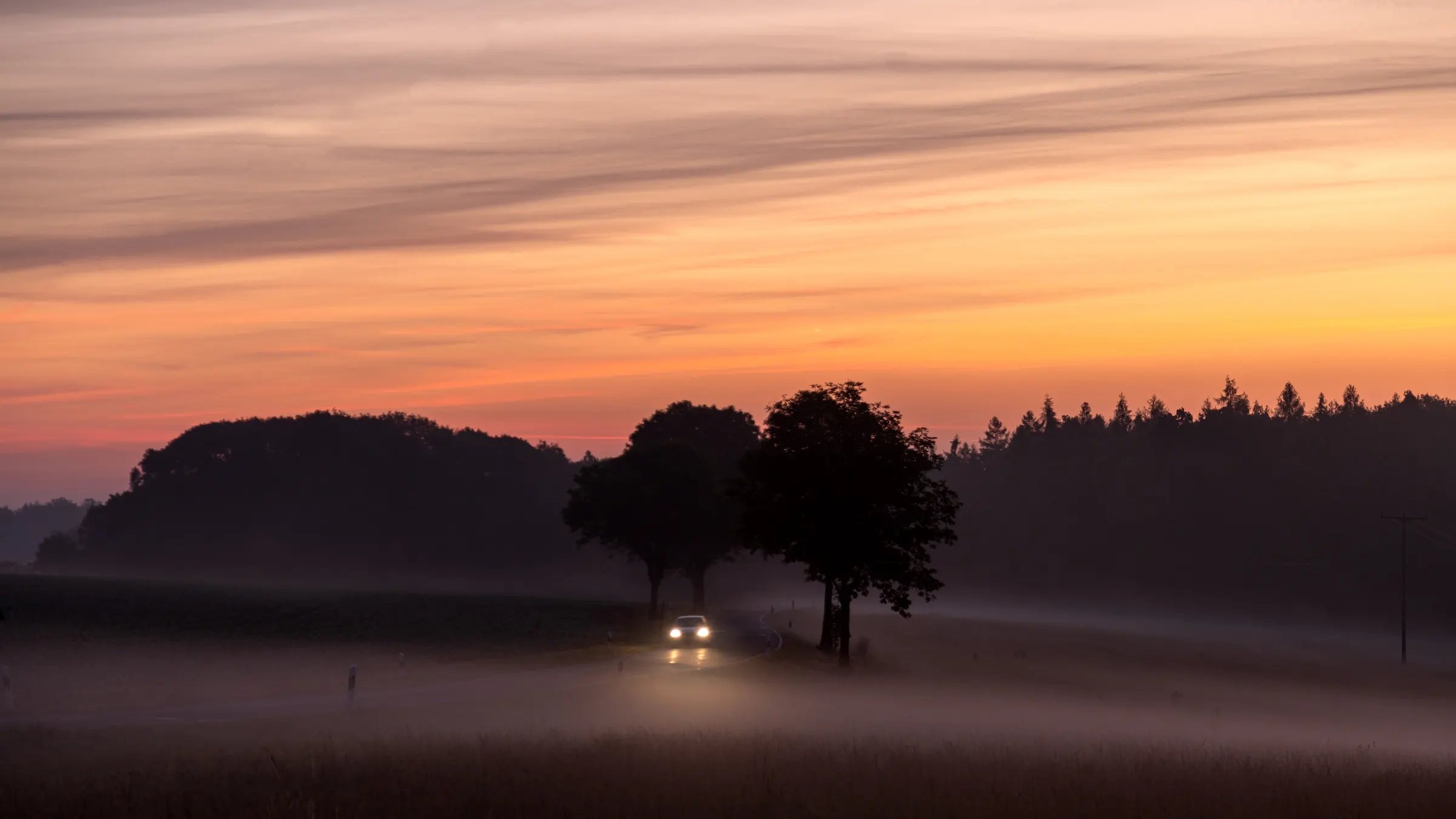 Auto mit Scheinwerfern auf einer nebligen Landstraße in der Morgendämmerung, Baumreihe als Silhouette
